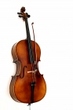 cello